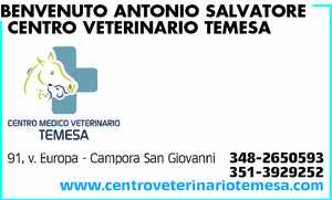 Visualizza Inserzione