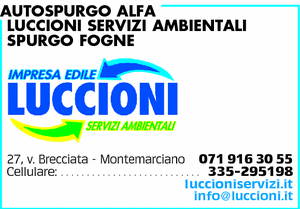 Visualizza Inserzione