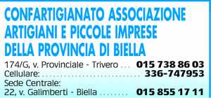 Visualizza Inserzione