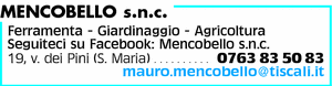 Visualizza Inserzione