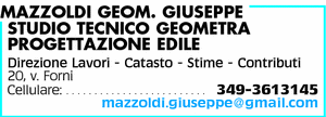 Visualizza Inserzione