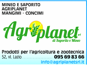 Visualizza Inserzione