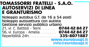 Visualizza Inserzione