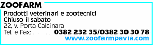 Visualizza Inserzione