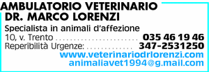 Visualizza Inserzione
