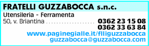 Visualizza Inserzione