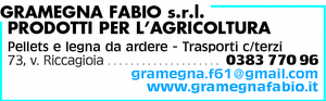 Visualizza Inserzione