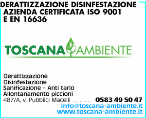 Visualizza Inserzione