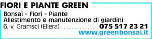 Visualizza Inserzione