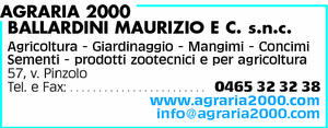 Visualizza Inserzione