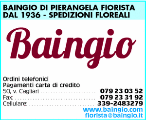 Visualizza Inserzione
