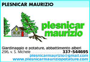 Visualizza Inserzione