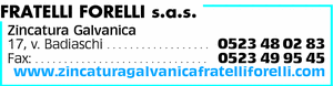 Visualizza Inserzione
