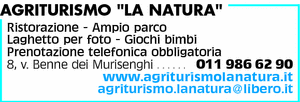 Visualizza Inserzione