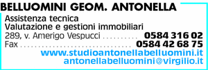 Visualizza Inserzione