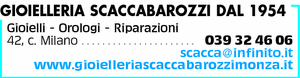 Visualizza Inserzione