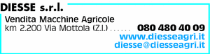 Visualizza Inserzione