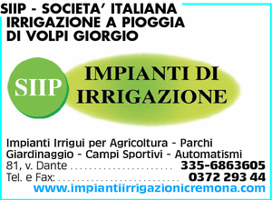 Visualizza Inserzione