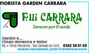 Visualizza Inserzione