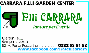 Visualizza Inserzione