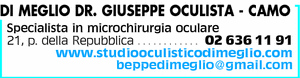 Visualizza Inserzione