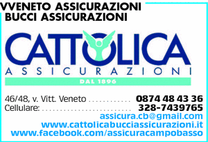 Visualizza Inserzione
