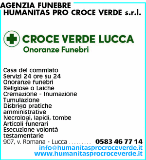 Visualizza Inserzione
