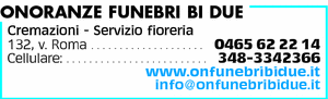 Visualizza Inserzione