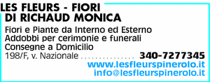 Visualizza Inserzione