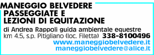 Visualizza Inserzione