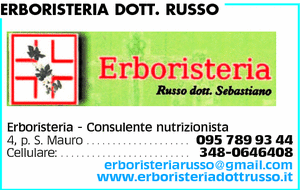 Visualizza Inserzione