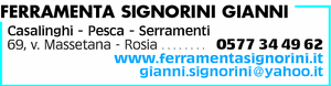Visualizza Inserzione