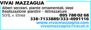Visualizza Inserzione