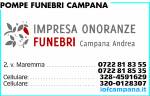 Visualizza Inserzione