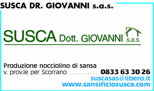 Visualizza Inserzione
