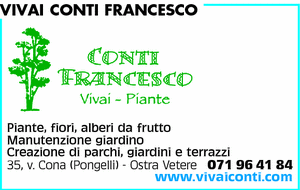 Visualizza Inserzione