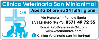 Visualizza Inserzione