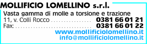 Visualizza Inserzione