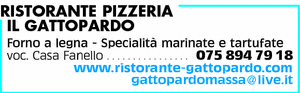Visualizza Inserzione