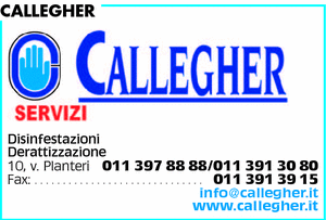 Visualizza Inserzione