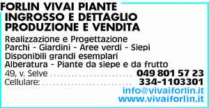 Visualizza Inserzione