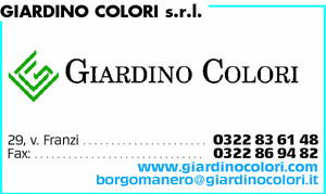 Visualizza Inserzione