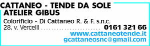 Visualizza Inserzione