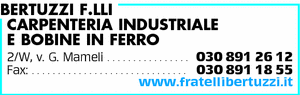 Visualizza Inserzione