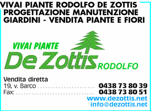 Visualizza Inserzione