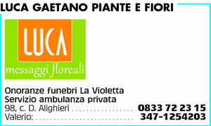 Visualizza Inserzione