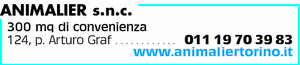 Visualizza Inserzione