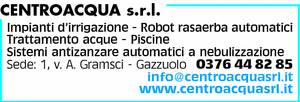 Visualizza Inserzione