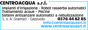Visualizza Inserzione