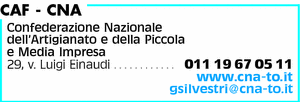 Visualizza Inserzione